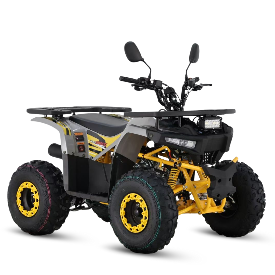 BITU 125 CINZA PNG.png