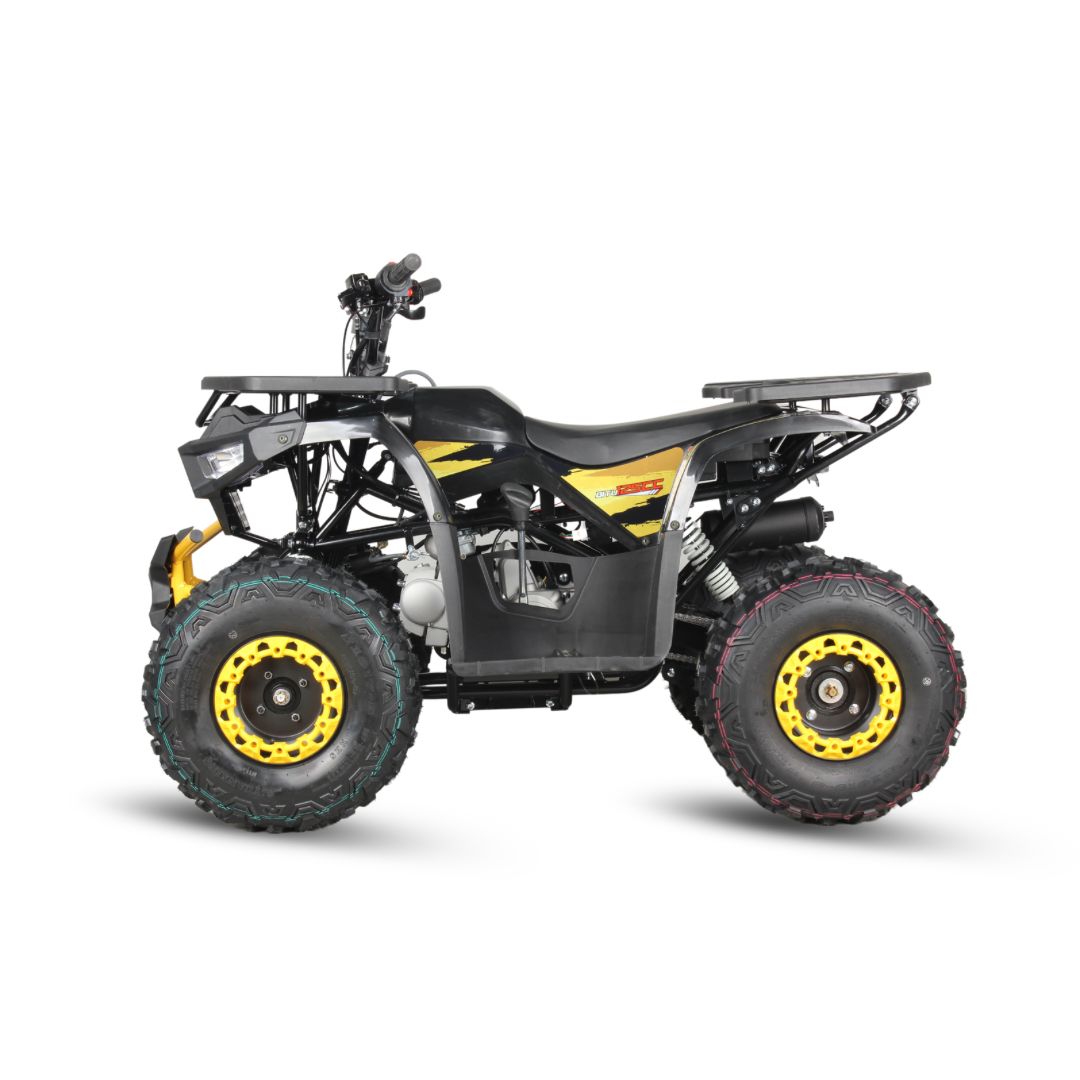 WhatsApp Image 2025-04-02 at 08.34.51 (3).jpeg