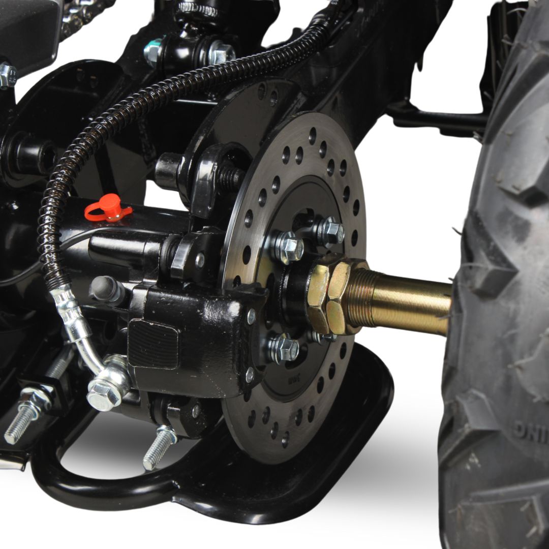 WhatsApp Image 2025-04-02 at 08.34.51 (5).jpeg