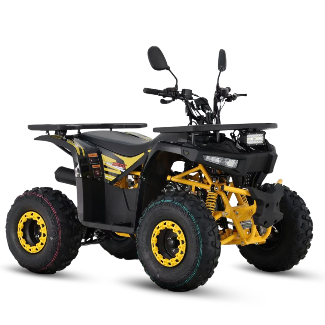 BITU 125 PRETO PNG (2).png