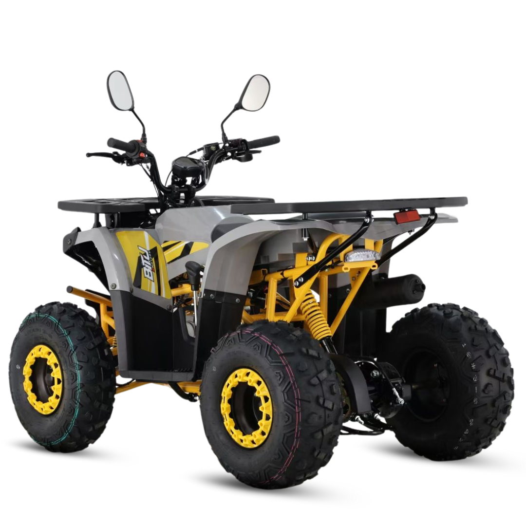 BITU 125 CINZA PNG (4).png