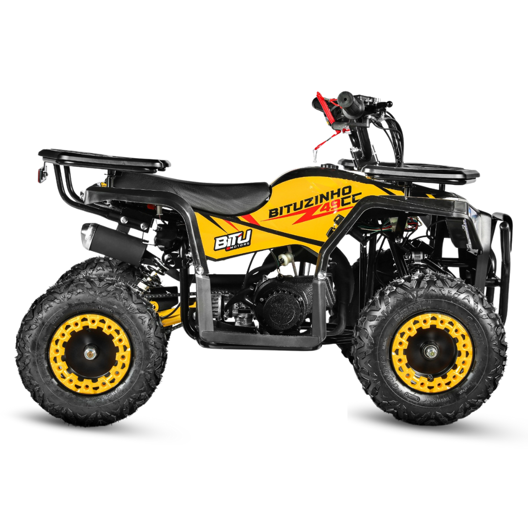 BITUZINHO 49 AMARELO PNG.png