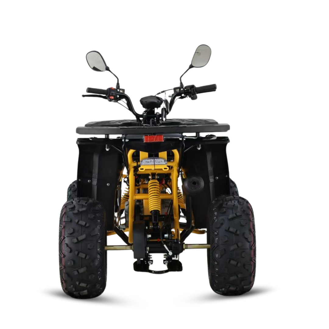 BITU 125 PRETO PNG (7).png