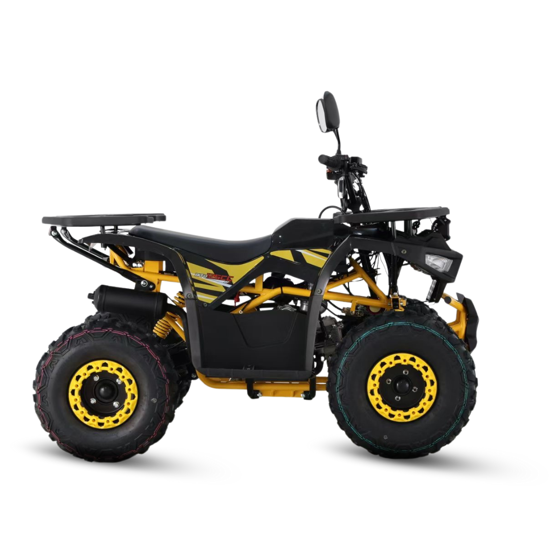 BITU 125 PRETO PNG (9).png