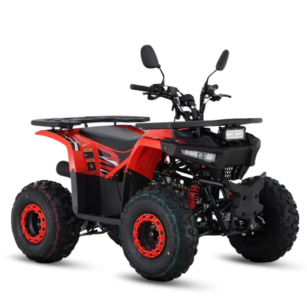 BITU 125 VERMEI PNG.png